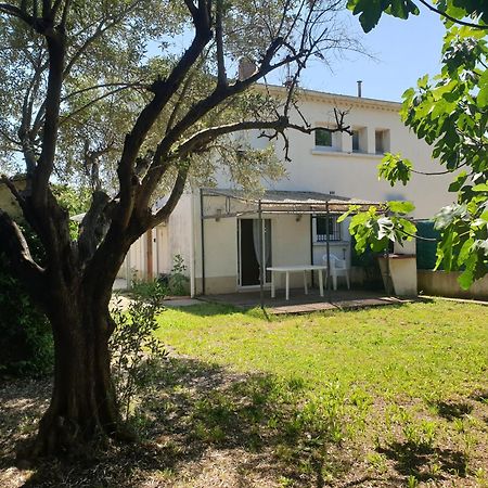 Orteils Au Soleil Jardin Parking Nîmes Exterior foto